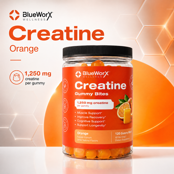 Creatine Gummies vs Powder for Adults Over 40: Which Form Is Easier to Stick With Without Shortchanging the Dose?