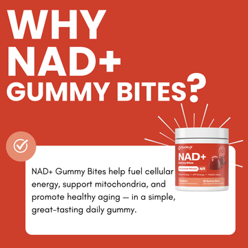 Sirtuins Explained: The Longevity Proteins That Work With NAD+ to Slow Cellular Aging
