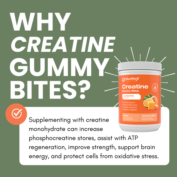Best Creatine Gummies