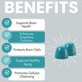 Brain Support Gummy Bites – Cognitive Health, Focus & Longevity Support - product image 5