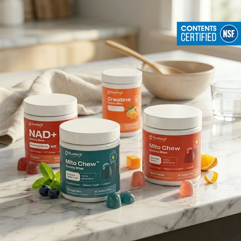 Energy & Recovery Bundle