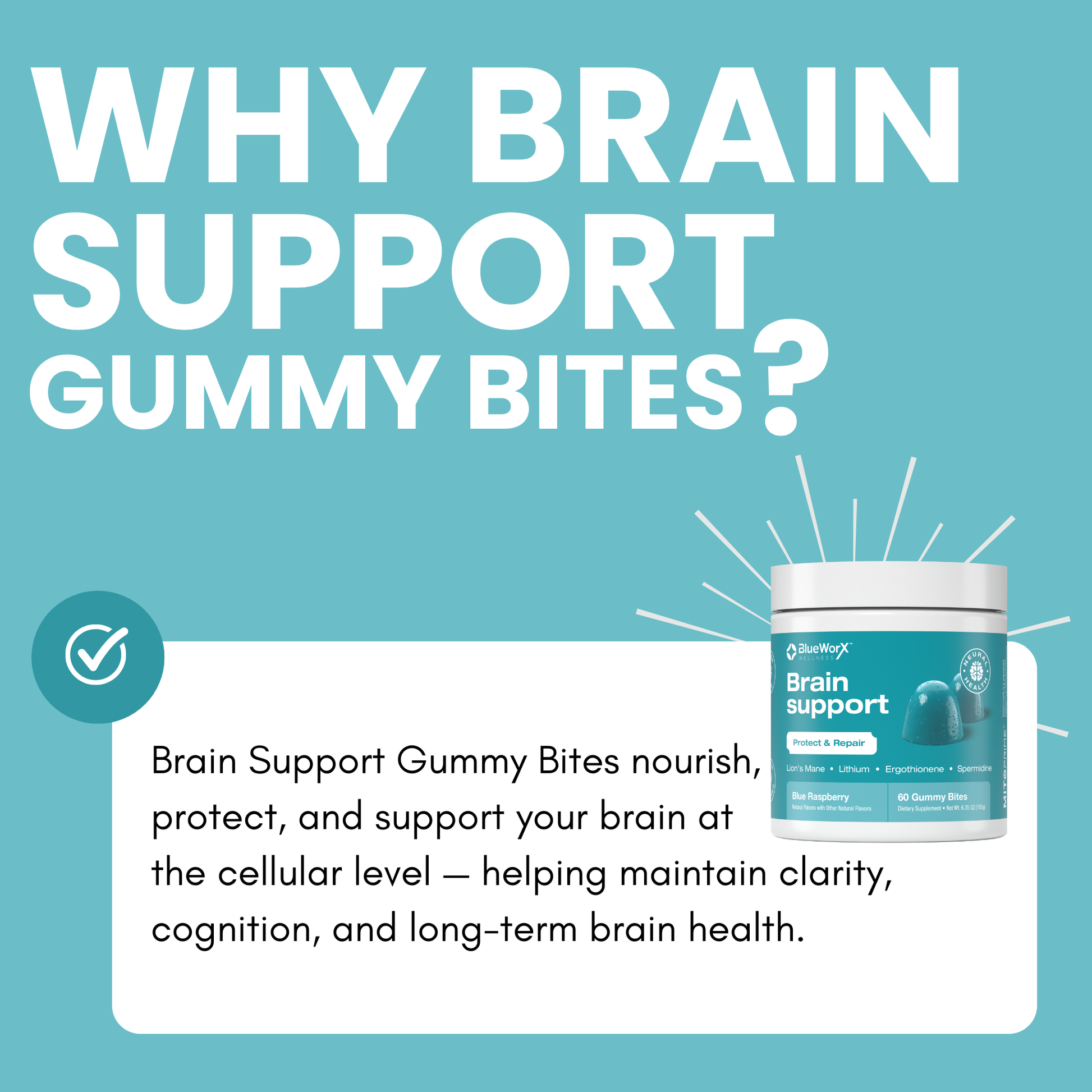 Brain Support Gummy Bites – Cognitive Health, Focus & Longevity Support - product image 6