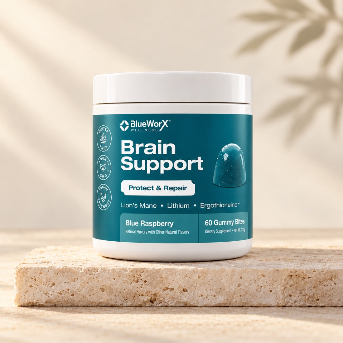 Best Brain Support Gummies
